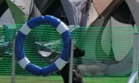 IMG_moosen_2018_285