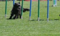 IMG_moosen_2018_291