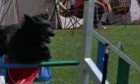 IMG_moosen_2018_292