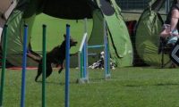 IMG_moosen_2018_294