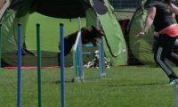 IMG_moosen_2018_295