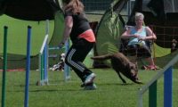 IMG_moosen_2018_297