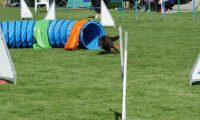IMG_Mossen_10-06-2017-J2004
