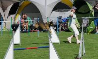 IMG_Mossen_10-06-2017-J2006