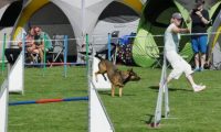 IMG_Mossen_10-06-2017-J2007