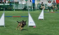 IMG_Mossen_10-06-2017-J2012