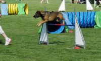IMG_Mossen_10-06-2017-J2016