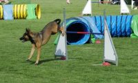 IMG_Mossen_10-06-2017-J2017