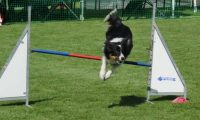 IMG_Mossen_10-06-2017-J2020