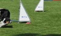 IMG_Mossen_10-06-2017-J2021