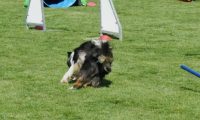 IMG_Mossen_10-06-2017-J2022