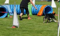 IMG_Mossen_10-06-2017-J2032