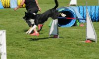 IMG_Mossen_10-06-2017-J2036