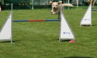 IMG_Mossen_10-06-2017-J2039