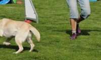 IMG_Mossen_10-06-2017-J2042