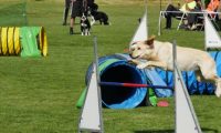 IMG_Mossen_10-06-2017-J2043