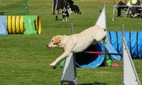 IMG_Mossen_10-06-2017-J2044