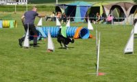IMG_Mossen_10-06-2017-J2046