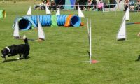 IMG_Mossen_10-06-2017-J2048