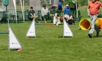 IMG_Mossen_10-06-2017-J2055