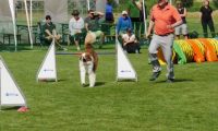 IMG_Mossen_10-06-2017-J2056