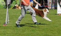 IMG_Mossen_10-06-2017-J2057
