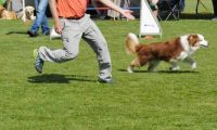 IMG_Mossen_10-06-2017-J2058