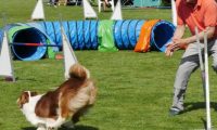 IMG_Mossen_10-06-2017-J2059