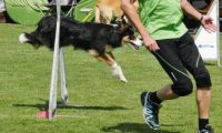 IMG_Mossen_10-06-2017-J2064