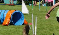 IMG_Mossen_10-06-2017-J2067