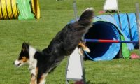 IMG_Mossen_10-06-2017-J2069