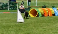 IMG_Mossen_10-06-2017-J2073