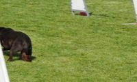 IMG_Mossen_10-06-2017-J2076