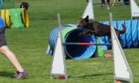 IMG_Mossen_10-06-2017-J2077