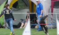IMG_Mossen_10-06-2017-J2082