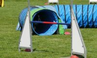 IMG_Mossen_10-06-2017-J2085