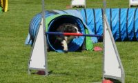IMG_Mossen_10-06-2017-J2086