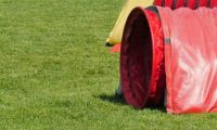 IMG_Mossen_10-06-2017-J2087