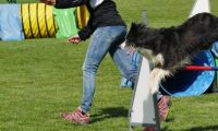 IMG_Mossen_10-06-2017-J2091