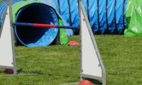 IMG_Mossen_10-06-2017-J2095