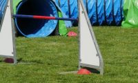 IMG_Mossen_10-06-2017-J2096