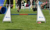 IMG_moosen-10-06-2017-K3Large007