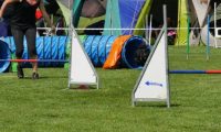 IMG_moosen-10-06-2017-K3Large011