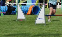 IMG_moosen-10-06-2017-K3Large013