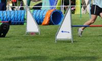 IMG_moosen-10-06-2017-K3Large014