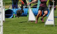 IMG_moosen-10-06-2017-K3Large015
