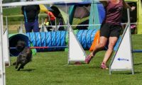 IMG_moosen-10-06-2017-K3Large016
