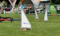 IMG_moosen-10-06-2017-K3Large018