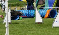 IMG_moosen-10-06-2017-K3Large020