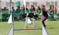 IMG_moosen-10-06-2017-K3Large021